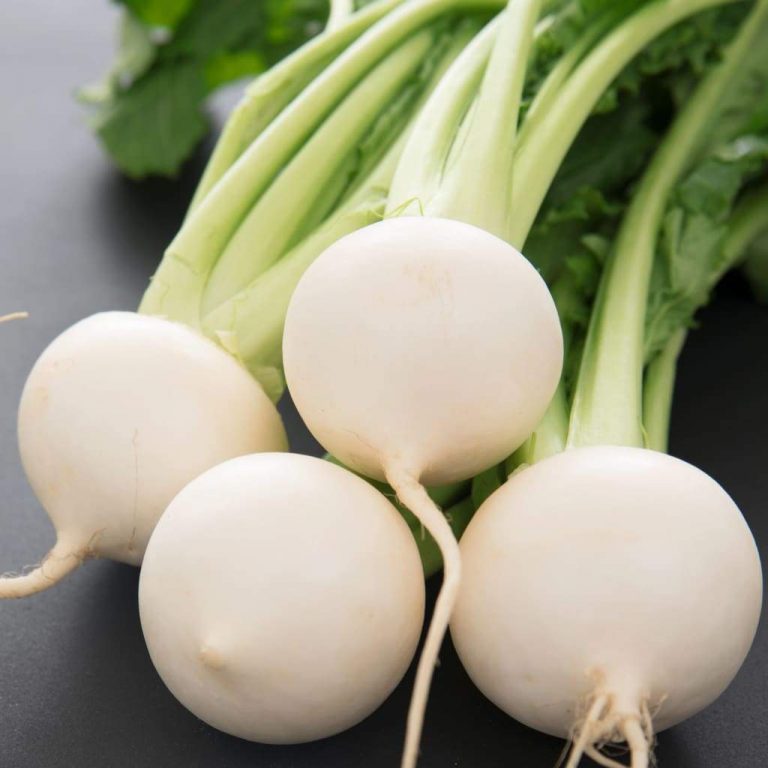 Turnip White Egg SPS Idaho Inc.