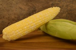 Corn - Ambrosia