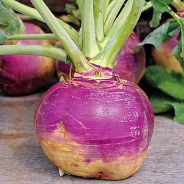 Rutabaga