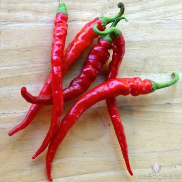 Pepper - Cayenne Long Red Thin