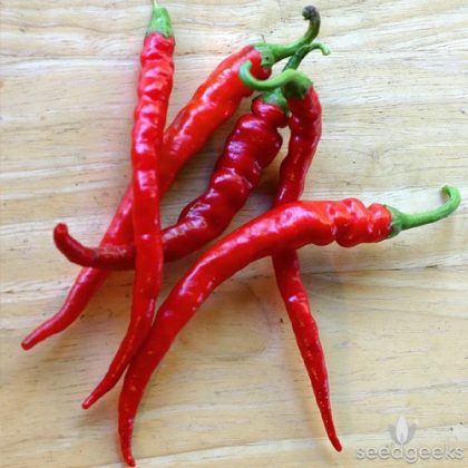 Pepper - Cayenne Long Red Thin