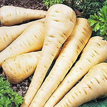 Parsnip