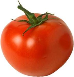 Tomato - Homestead Improved