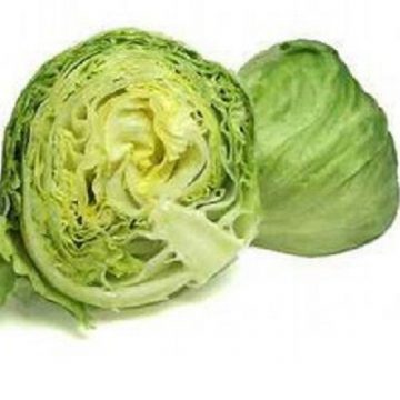 Lettuce