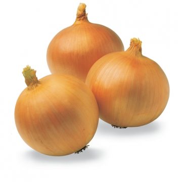 Onion - Yellow Sweet Spanish