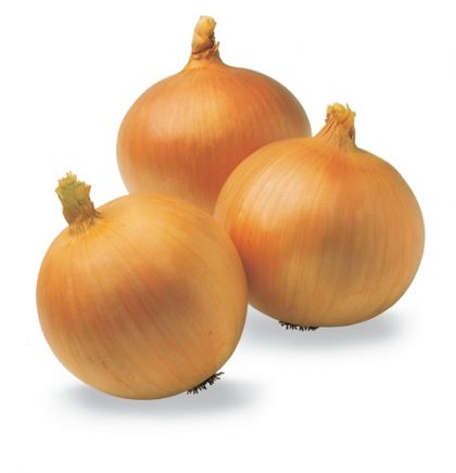 Onion - Yellow Sweet Spanish