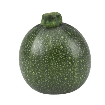 Squash - Zucchini Round