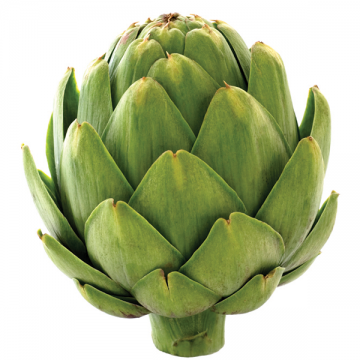 Artichoke