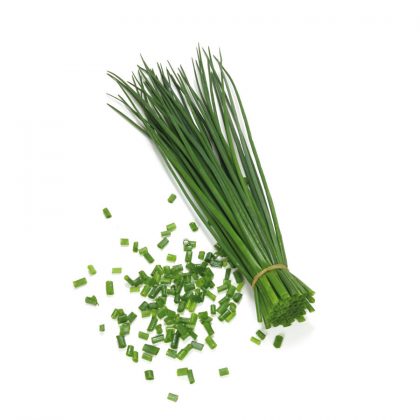 Herb - Chives