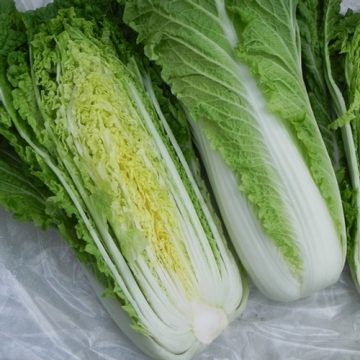 Chinese Cabbage - Michihili Heading