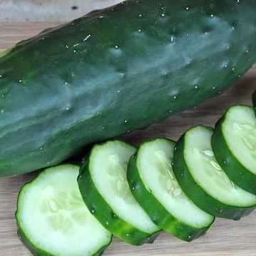 Cucumber - Poinsett 76