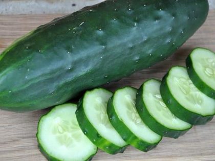 Cucumber - Poinsett 76