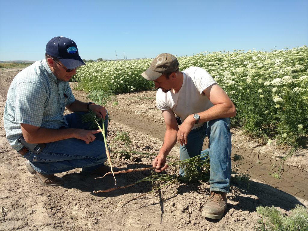 Seed Production SPS Idaho Inc.